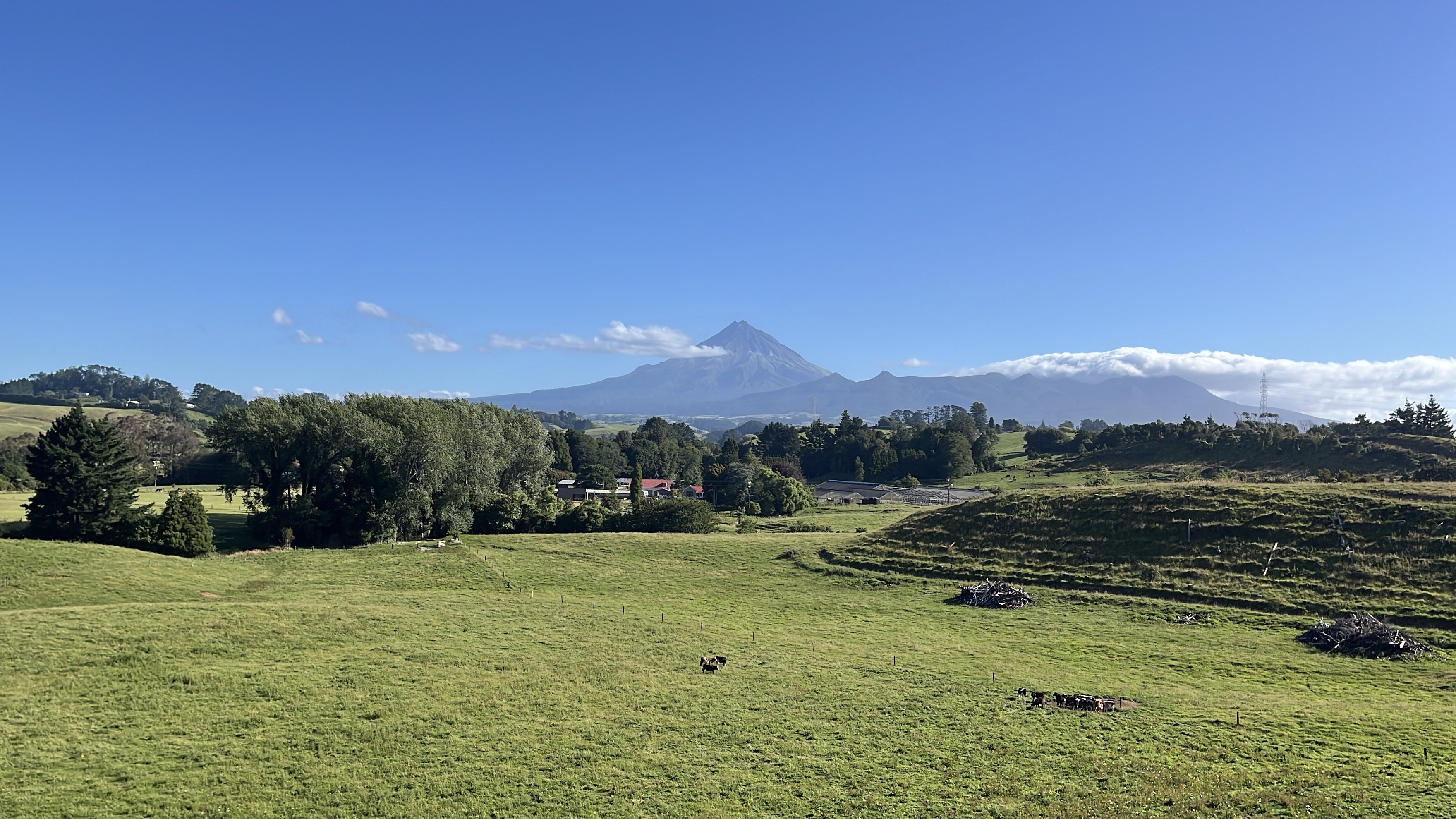 La Ferme New Plymouth